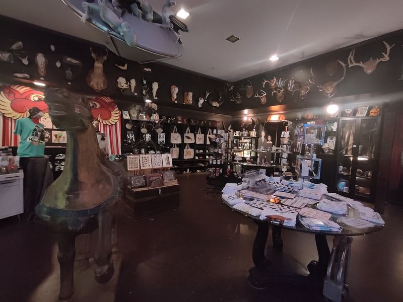 Vintage Apparel And Collectible T-Shirts