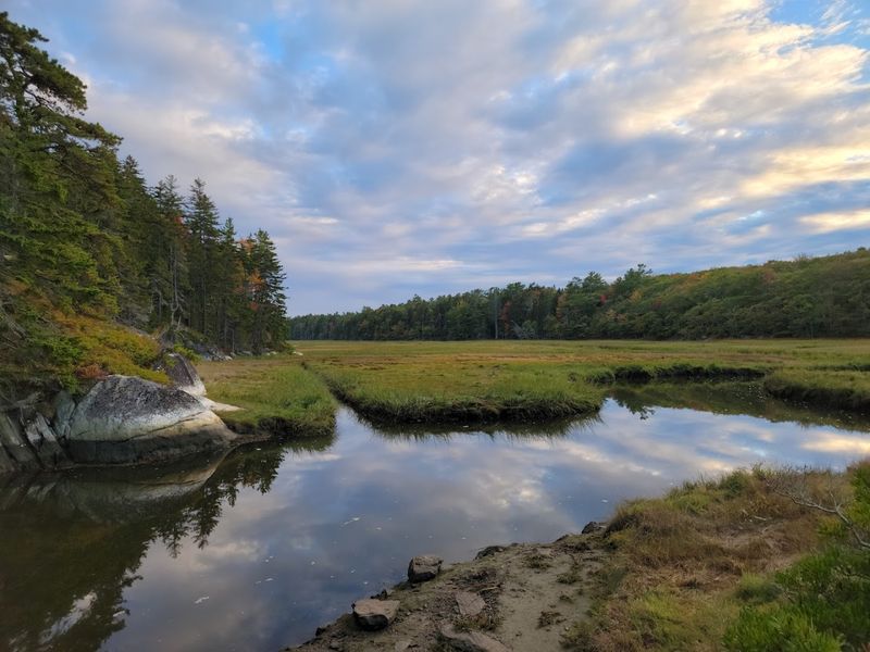 Seasonal Changes Impacting The Coastal Environment