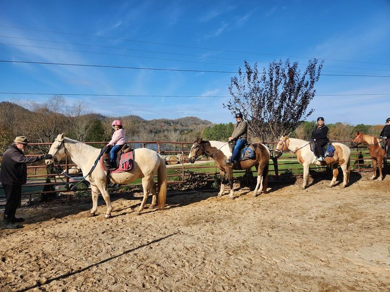 Lake Meadow Farm & Stables, Granville
