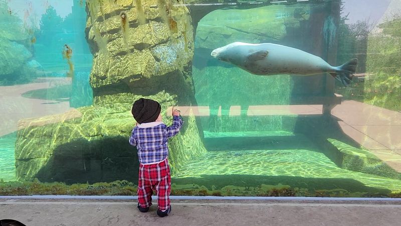 Henry Vilas Zoo (Madison)