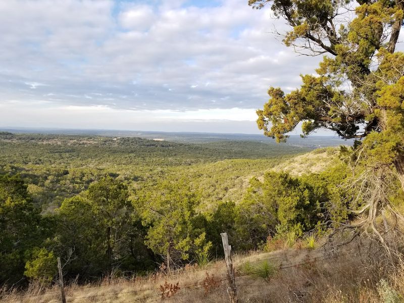 Devil's Backbone / Ranch Road 32