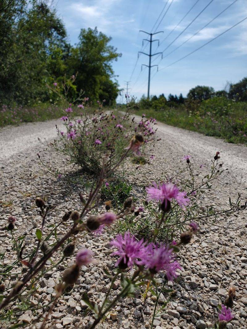 Eisenbahn State Trail (West Bend–Eden, WI)