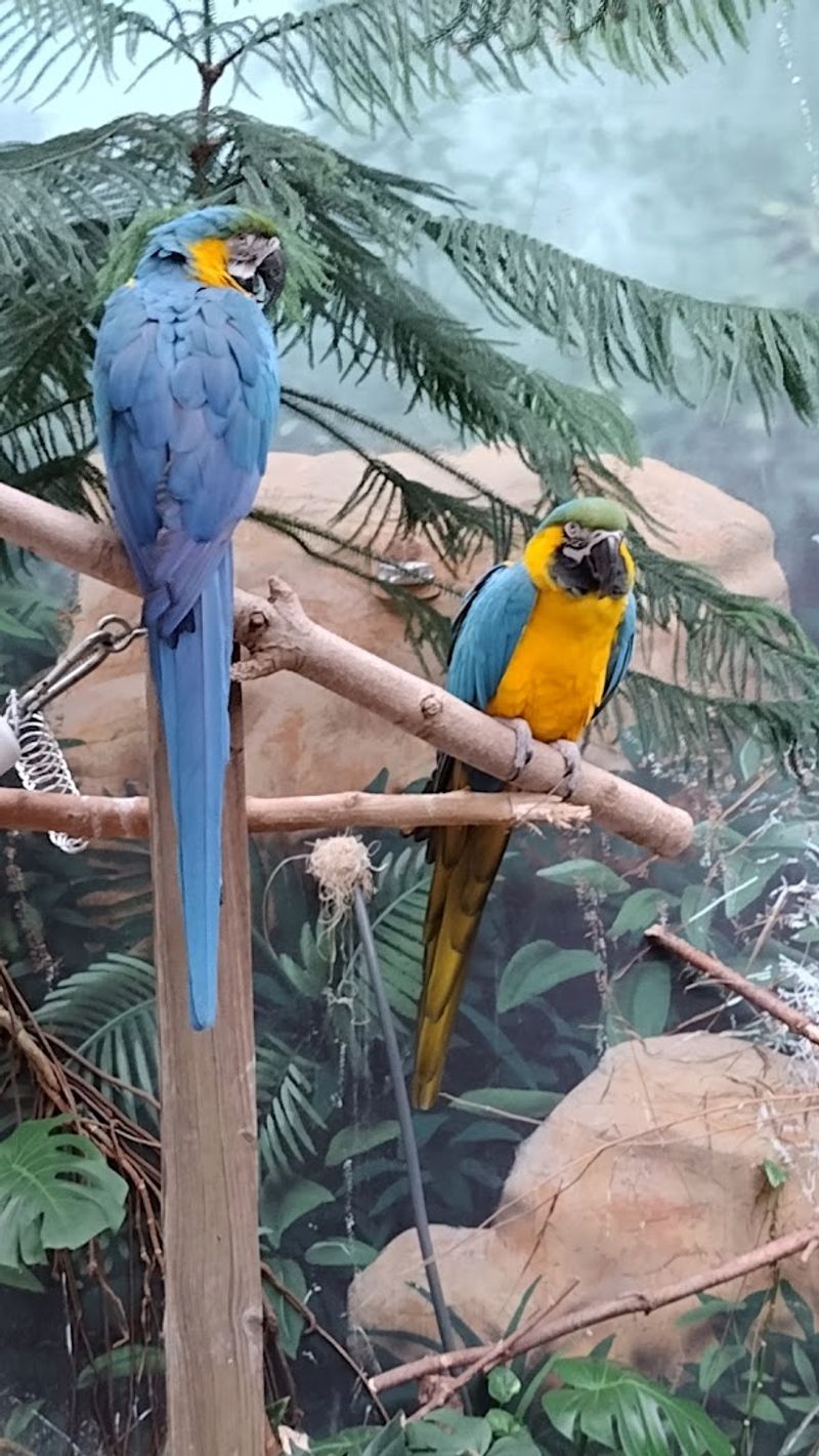 A Vast Collection Of Animal Species