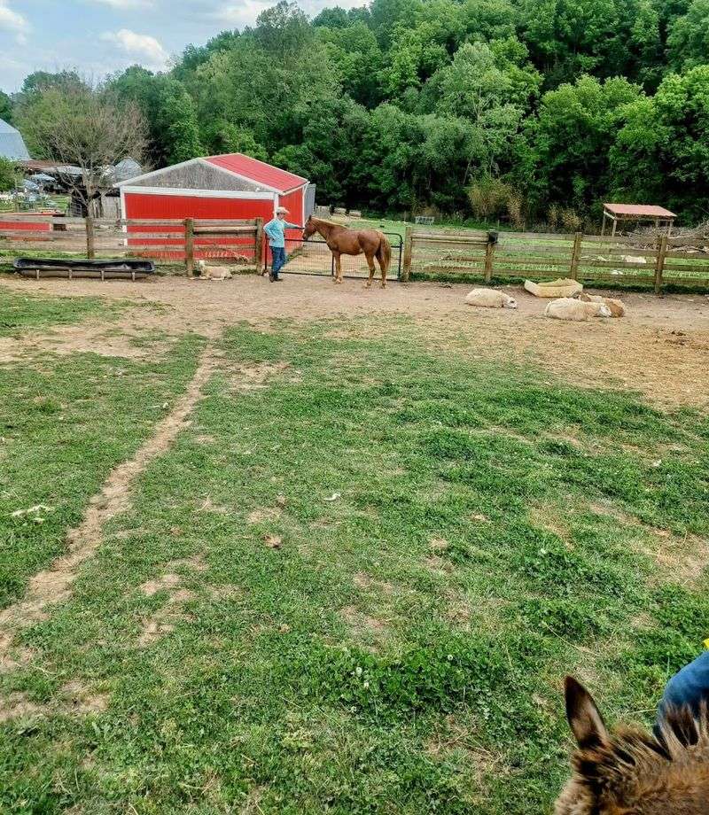 Why Children Absolutely Love This Place