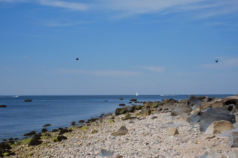 Caumsett State Historic Park Preserve Beach