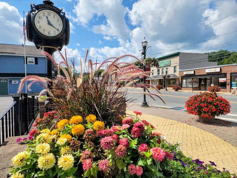 The Guided Tour Experience Worth Every Minute