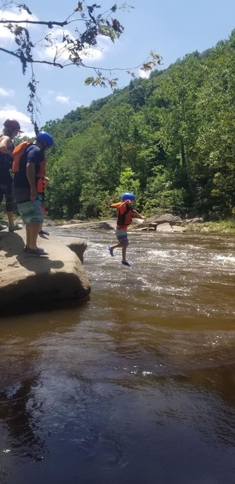 Views Around Forest Waterways