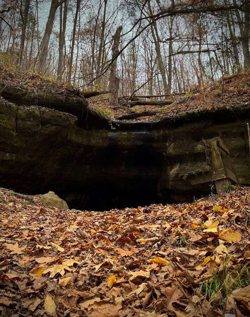 Kickapoo Caverns Area At Wildcat Mountain State Park