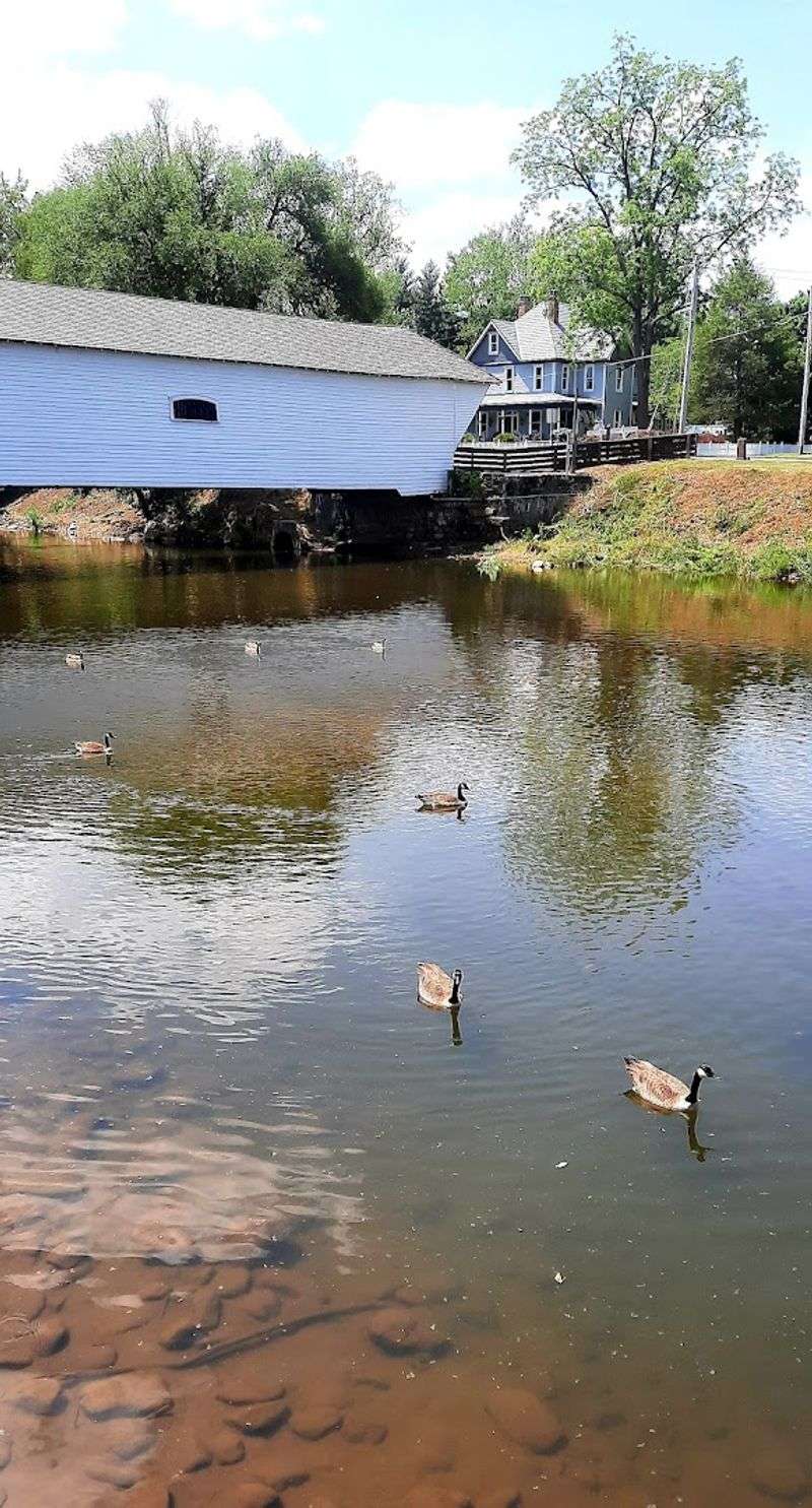 Why This Bridge Has Earned A 4.8-Star Rating From Hundreds Of Visitors