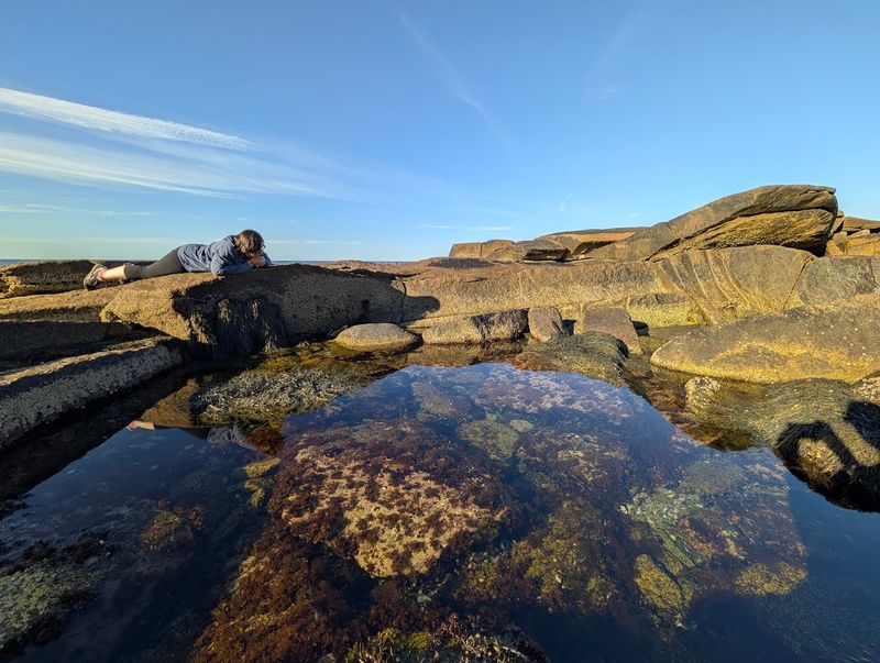 Rocky Shoreline Tidal Pools That Reward Curious Visitors