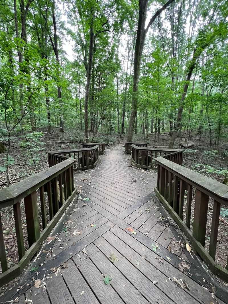 The South Cove Trail And Its Quieter Character