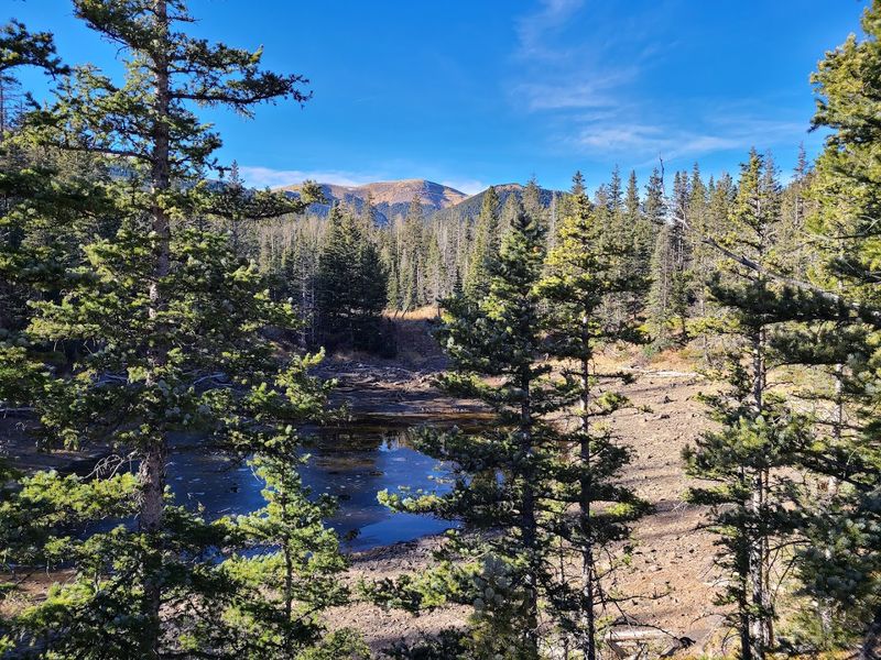 Best Practices For Managing Utilities And Monthly Bills