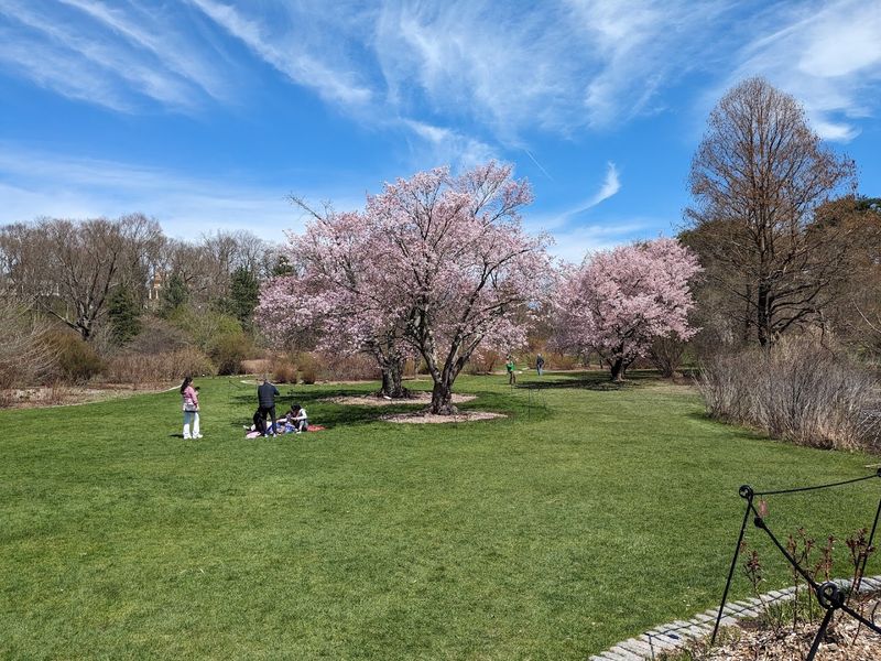 The Scientific Research Legacy Behind The Beauty