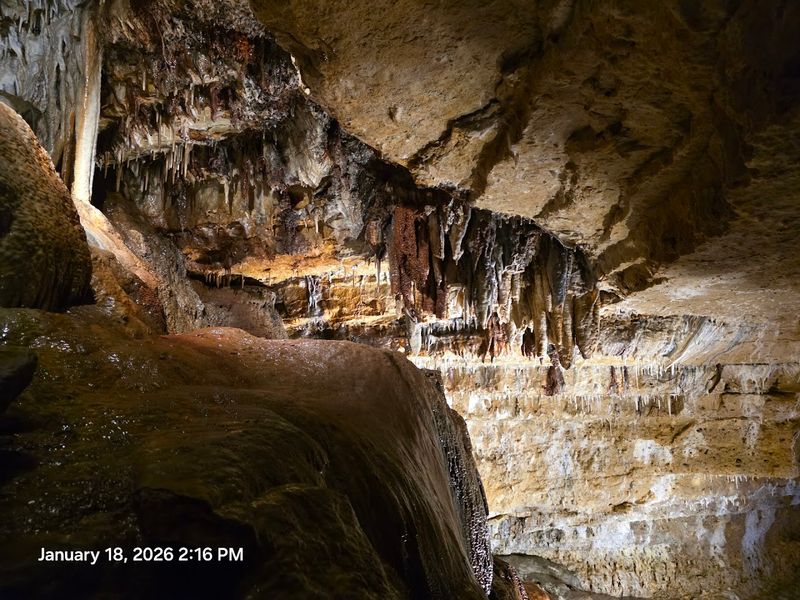 A Guided Tour That Lasts About An Hour From Start To Finish