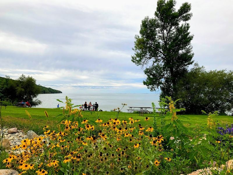 Wildlife And Birdlife That Become More Active In Spring