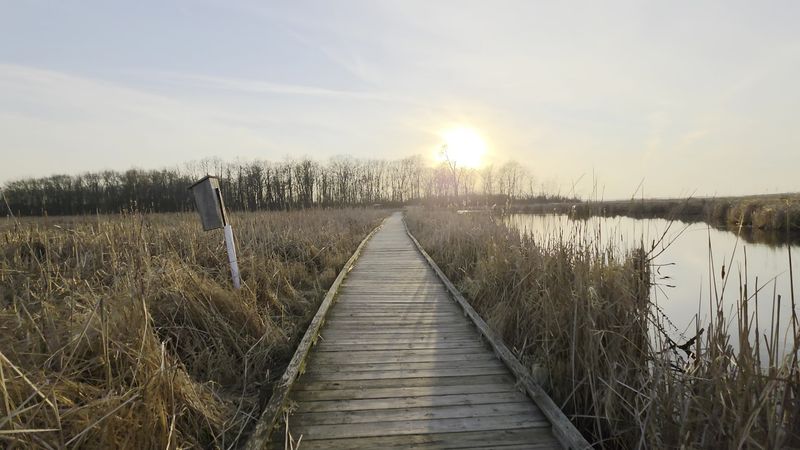 Horicon Marsh State Wildlife Area (Horicon)