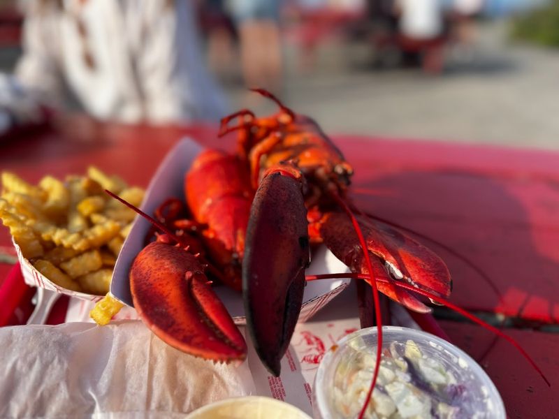 Freshness Of Meat And Its Impact On Flavor