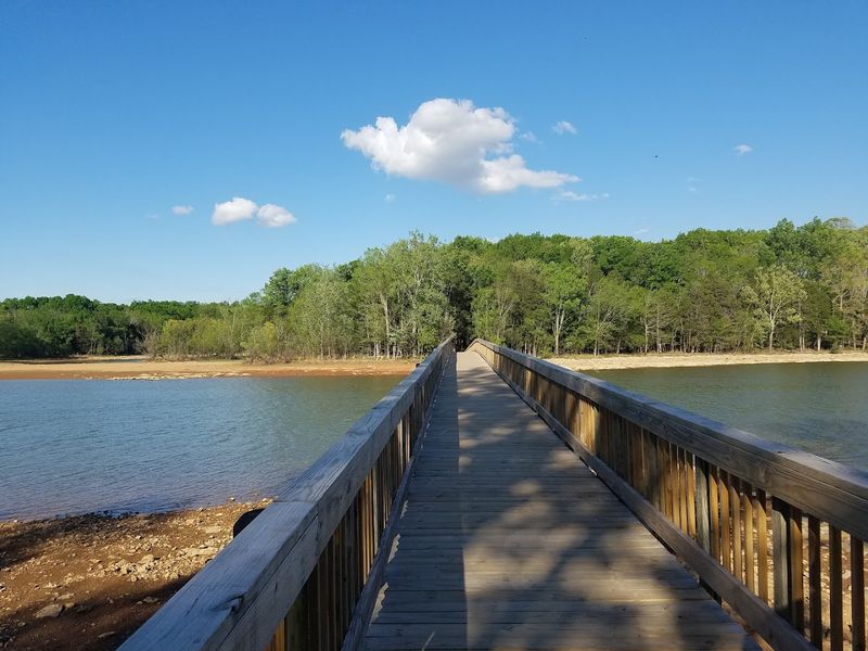 The Couchville Lake Trail Experience