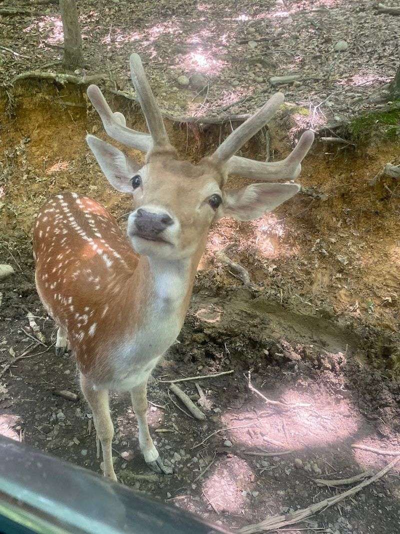 Getting There And Planning Your Trip From Nearby Cities