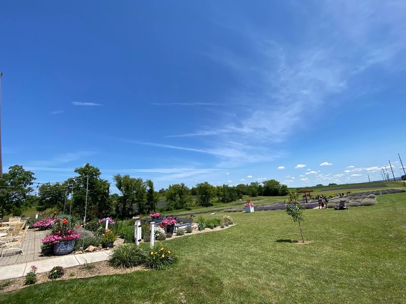 Family-Friendly Atmosphere With Events And Seasonal Activities