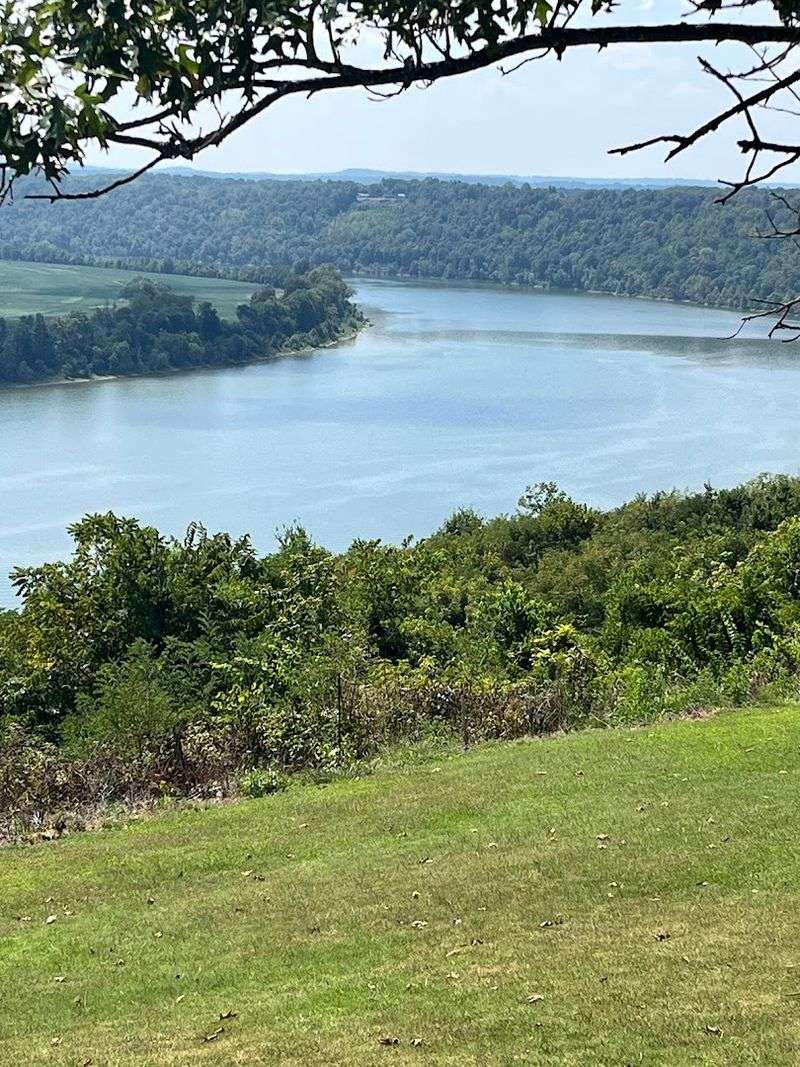 Wildlife Sightings Near Dining Area