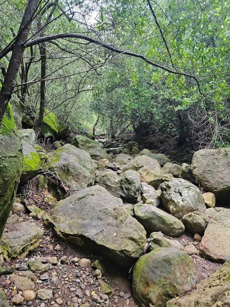 Ideal Times To Visit For Scenic Beauty