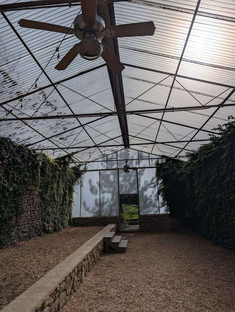 Medicinal And Specialty Gardens For Those Who Want More Than Just Pretty Flowers