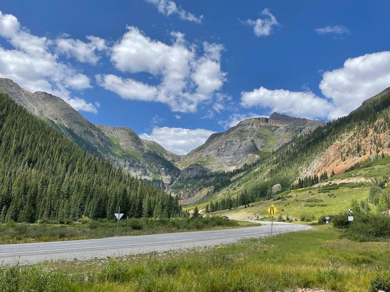Local Flora That Enhances The Drive Experience
