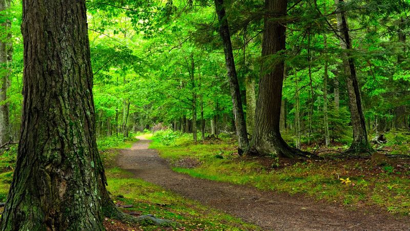 A Smarter Hike Starts With The Right Pack