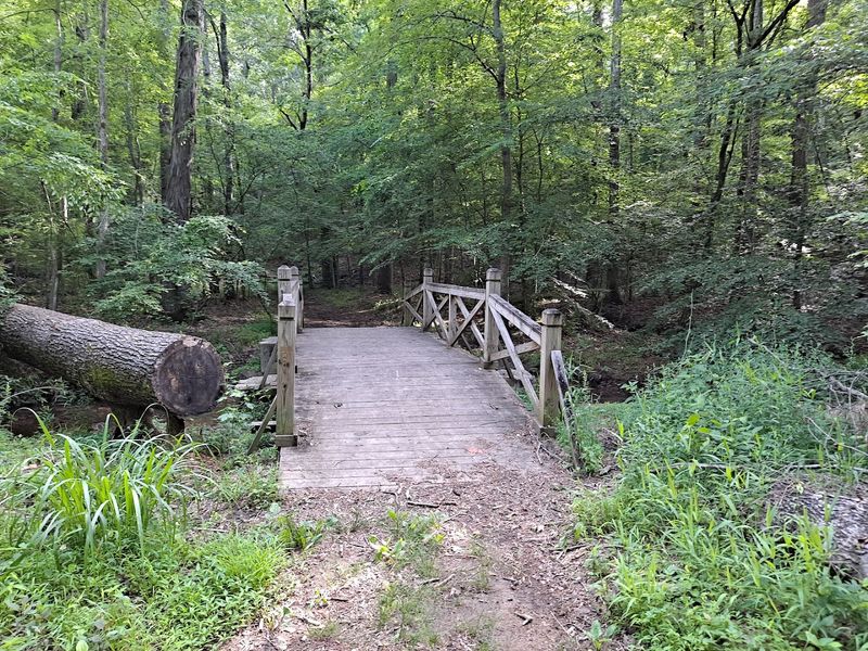 The Island Loop Trail And Its Spring Wildflower Show