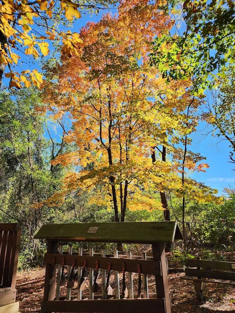 A Book Exchange That Adds A Charming Community Touch