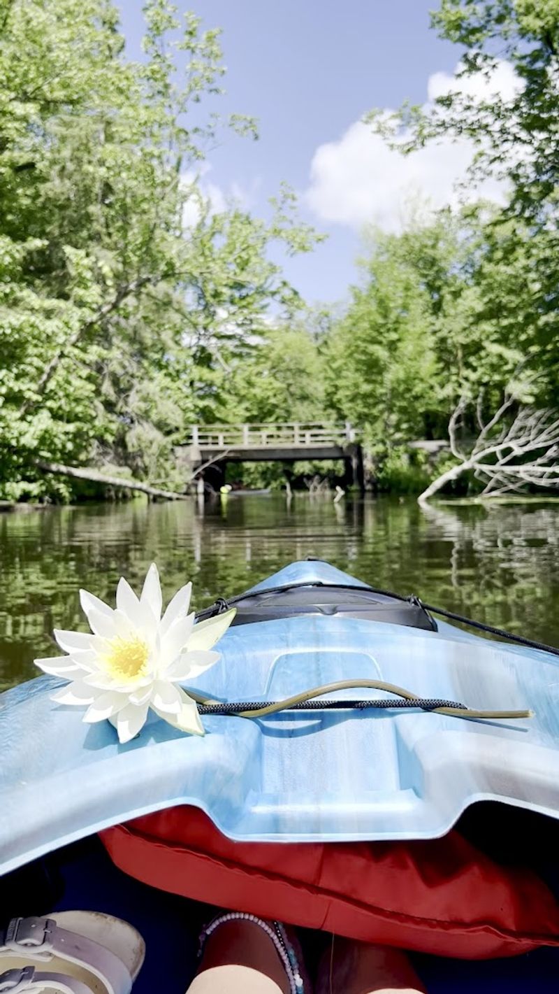 A Kayaker's Favorite Stretch Of River