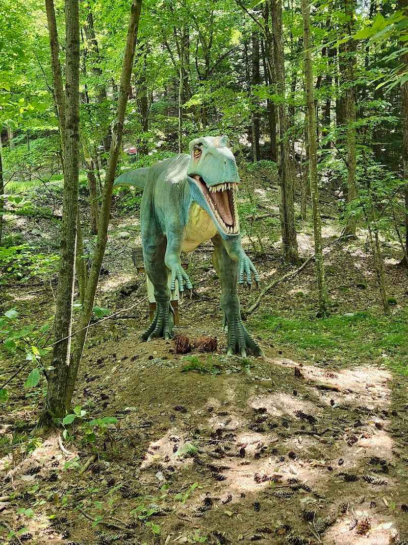 The Forest Setting That Separates This Park From Everything Else