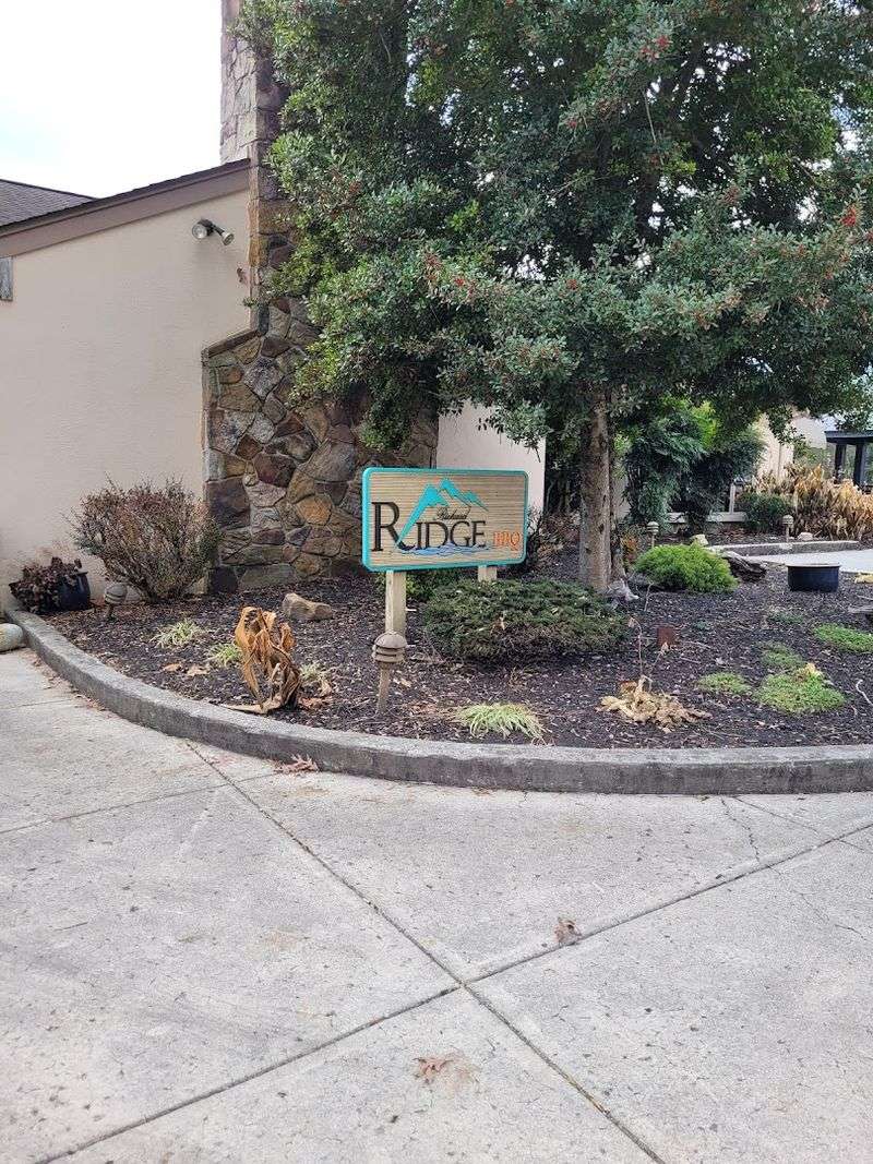 The Visitor Center Experience That Sets The Tone For Your Whole Visit