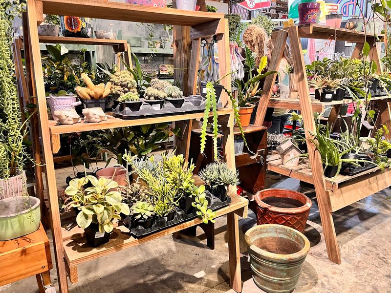 Vintage Arcade Games, Payphones, And Retro Snacks Along The Way