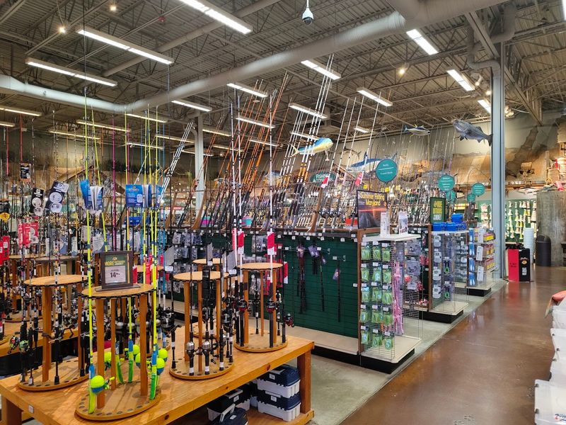 Unique Shopping Experiences And Services