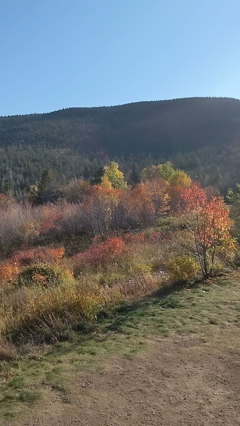 Safety Tips For Driving Mountain Roads