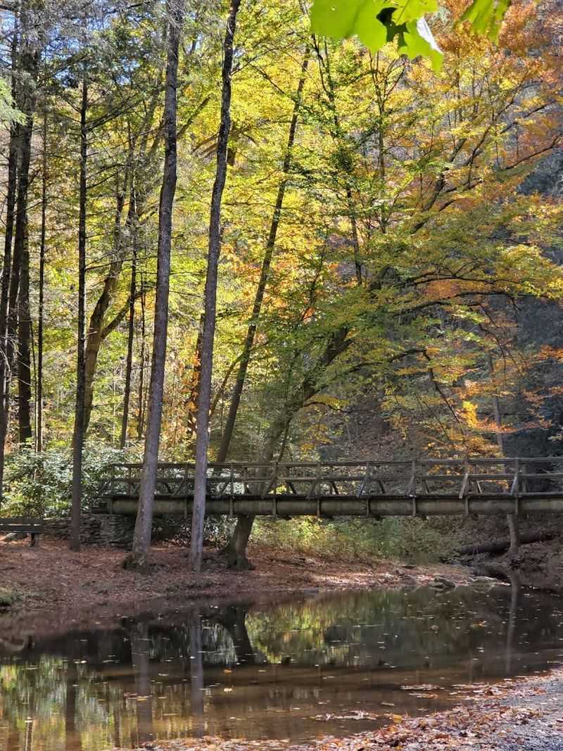 Why Paint Creek Keeps Drawing People Back Season After Season