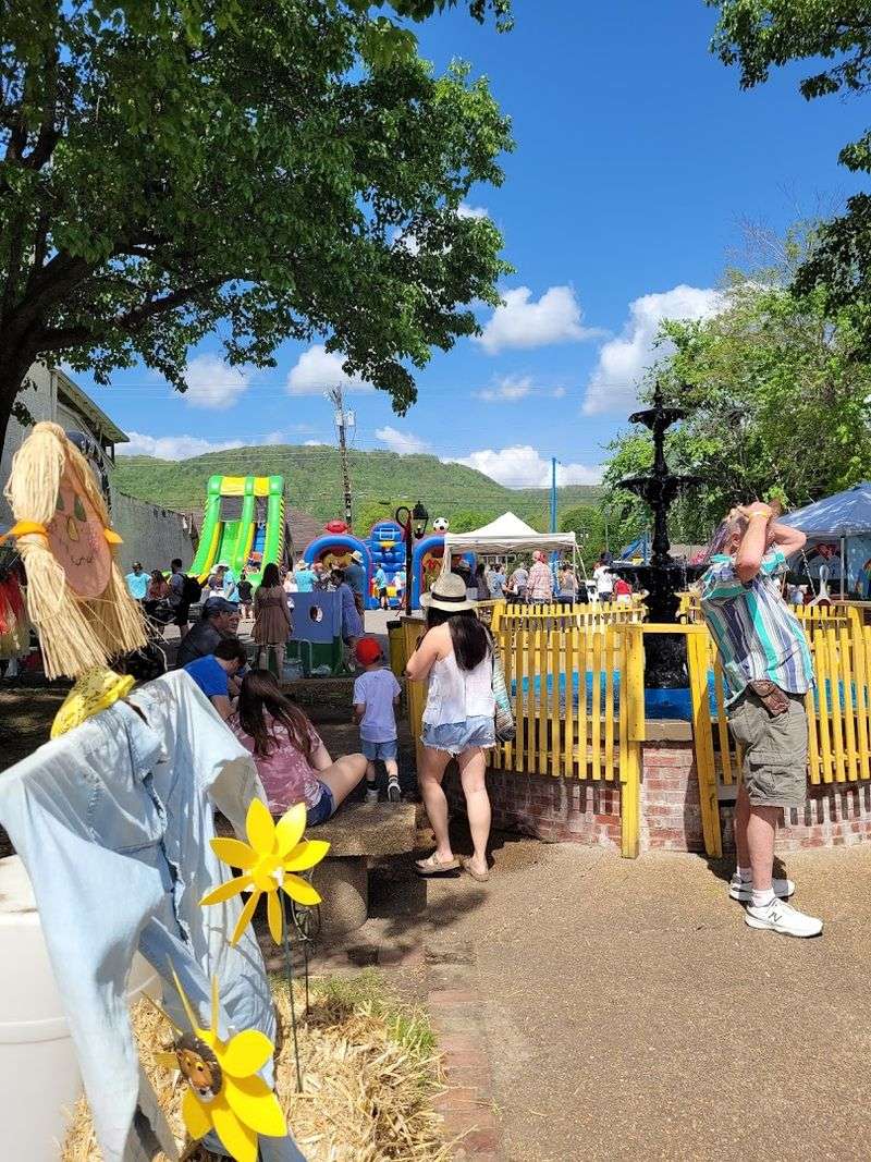 Family-Friendly Activities And Atmosphere