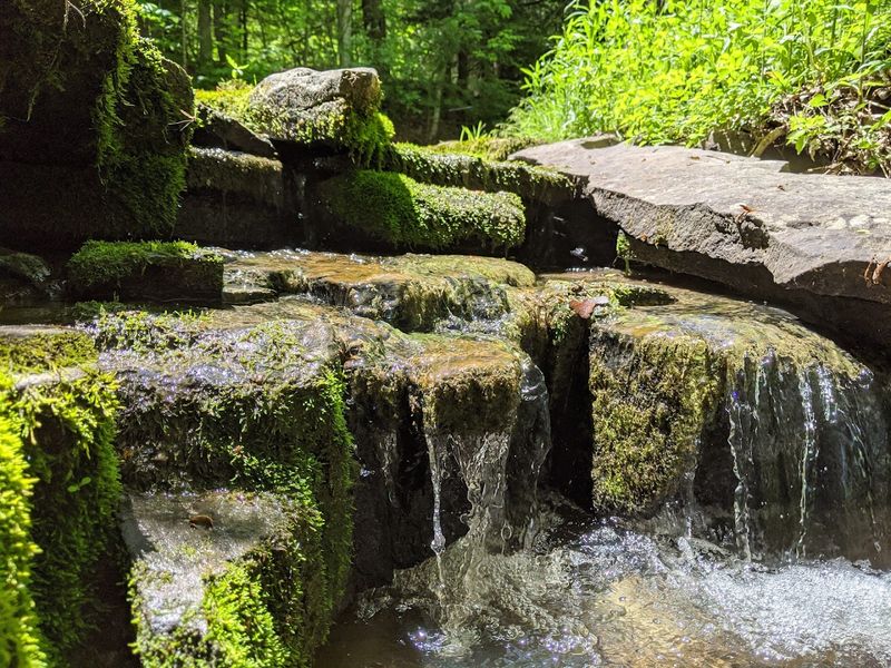 Why This Modest Little Trail Leaves A Lasting Impression