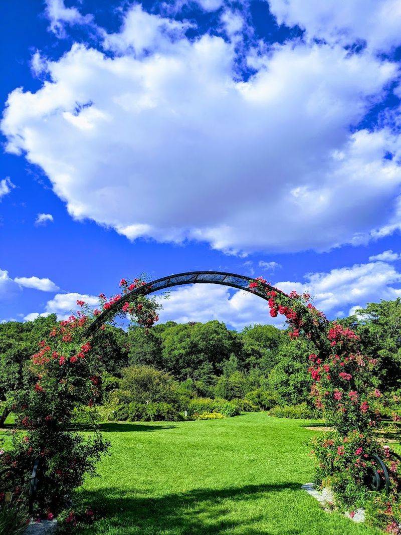 How The Grounds Compare To A Monet Painting Up Close