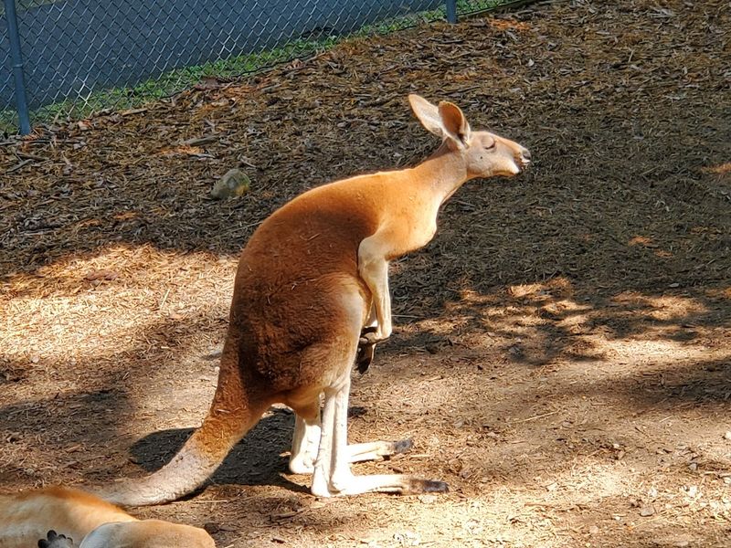 One Of The Most Talked-About Moments On The Property