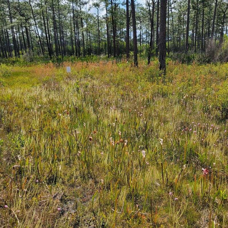 Guided Tours And Educational Programs Available