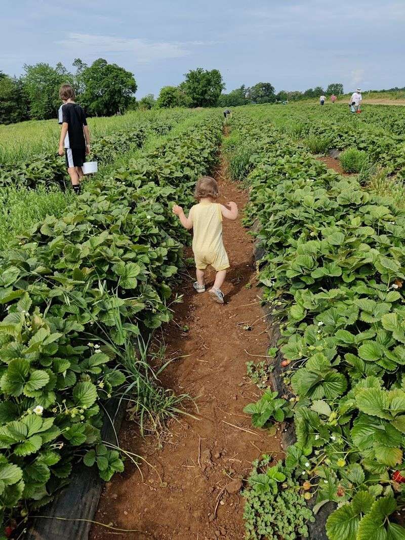 Why Families With Kids Absolutely Love Coming Here