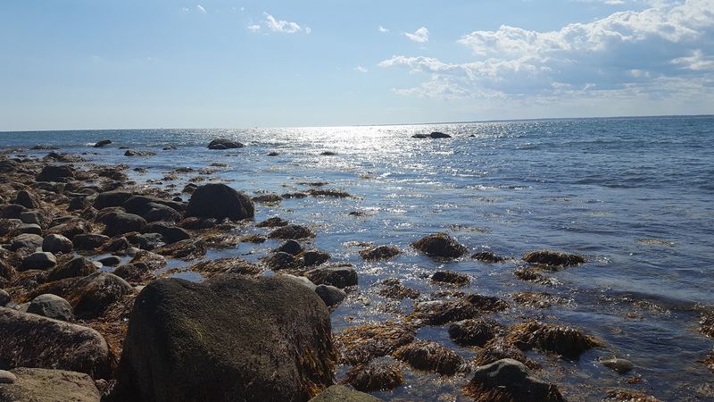 Westport, Bristol County