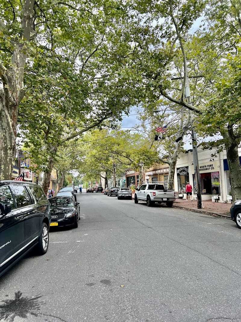 The Historic Character Of Main Street And Beyond