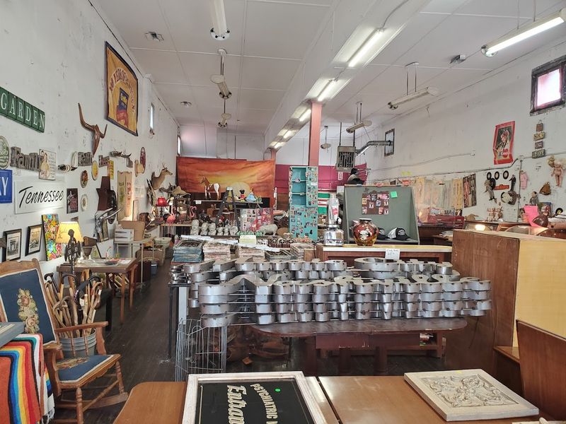 Cool Stuff Weird Things, Nashville