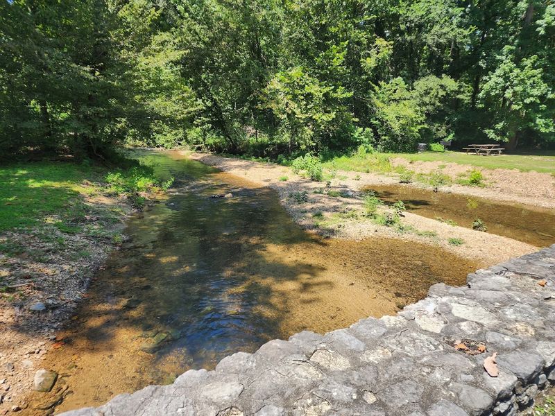 The Primitive Campsites Along Spring Creek That Feel Like A Private Retreat