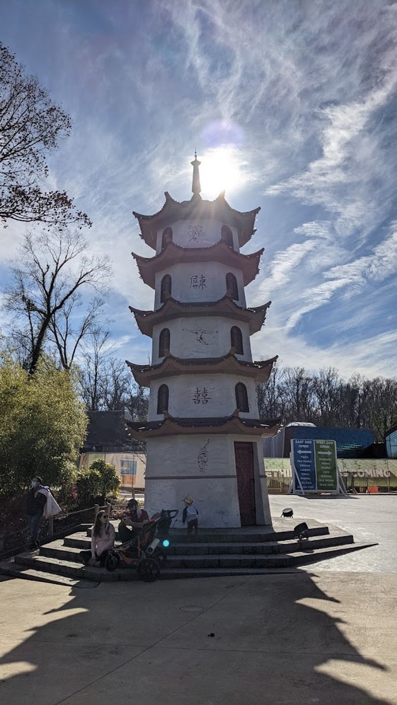 Smoky Night Lights Transforms The Zoo Into Something Entirely Different
