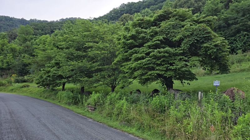 Trail Routes That Showcase Natural Beauty